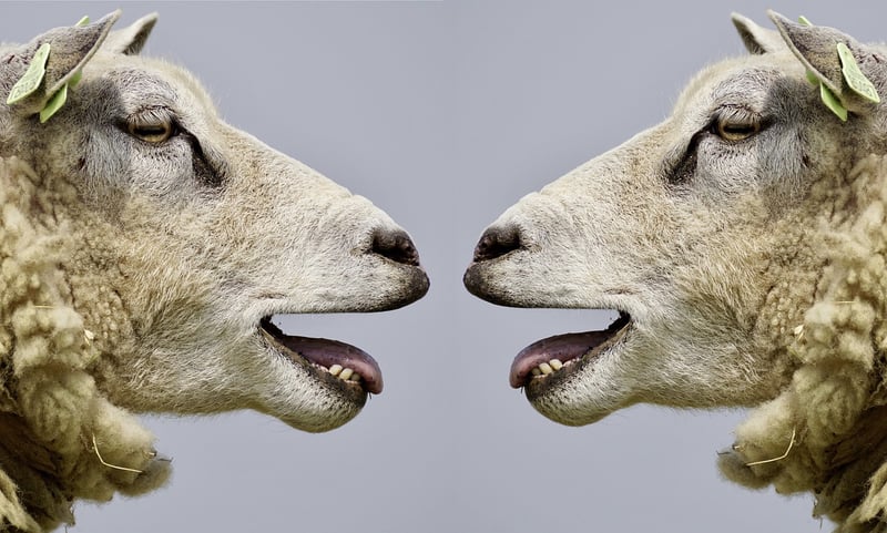 Interspecies Communication